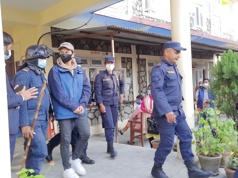 पल शाहलाई फेरि ल्याइयो दमौली